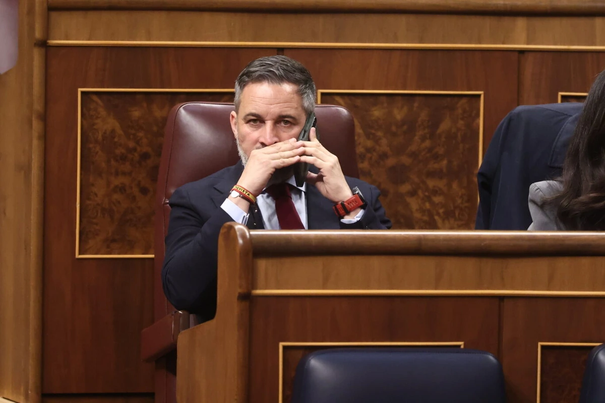 Así lanza Vox a sus cargos en las redes sociales contra las "traiciones" de los críticos: "Esto nos concierne a todos"