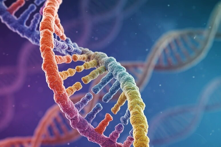 Pronto il decoder del Dna, per le terapie del futuro