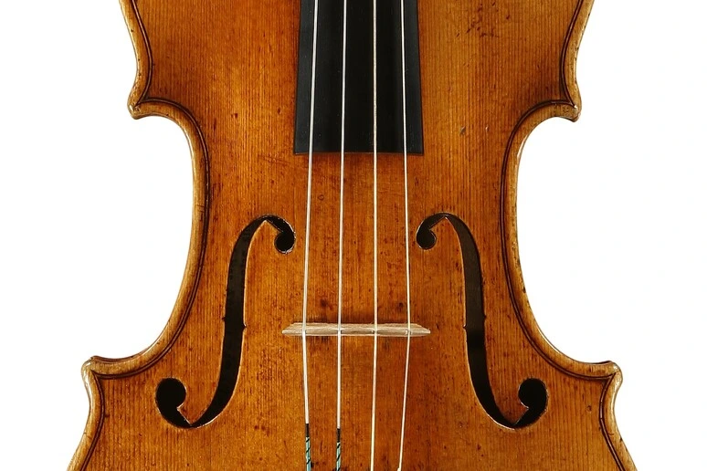 Negli abeti del Trentino il segreto dei violini di Stradivari