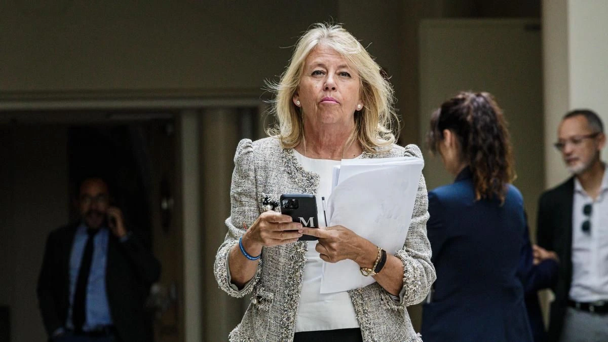 Un juzgado de Marbella cita a la alcaldesa para hacer inventario de la herencia de su marido que reclaman los hijastros