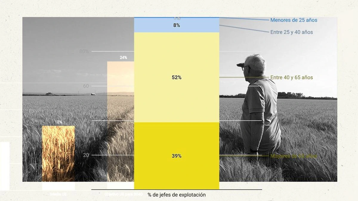 El relevo generacional como riesgo económico: “Muchas empresas fracasan por la sucesión, no por el negocio”