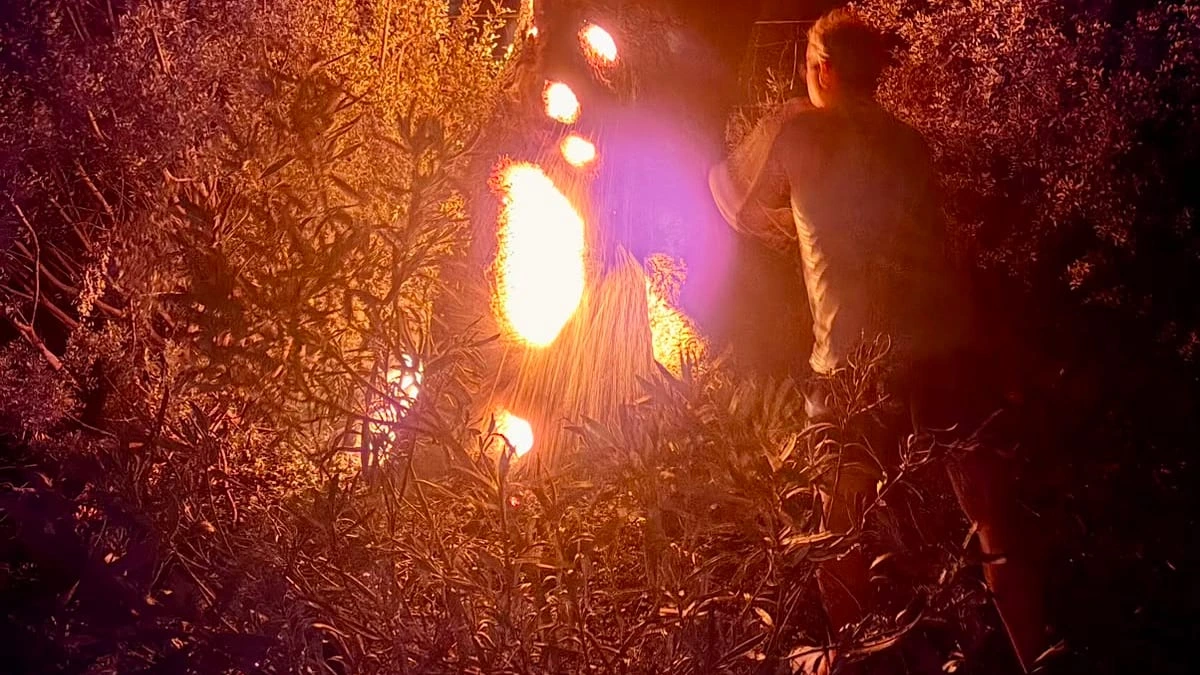 Urlauber löschen Waldbrand mit Mülleimern und Poolwasser