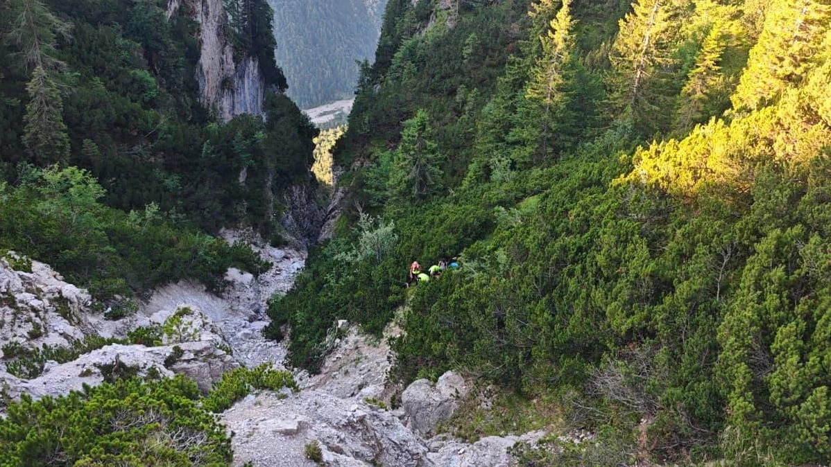 Paar trinkt eigenen Urin, um zu überleben: Wanderer 6 Tage im Wald vermisst