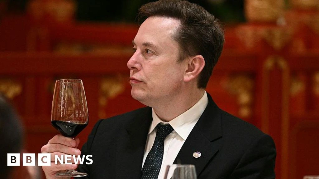 'Let's enjoy the ride' says Elon Musk, as AI fears mount