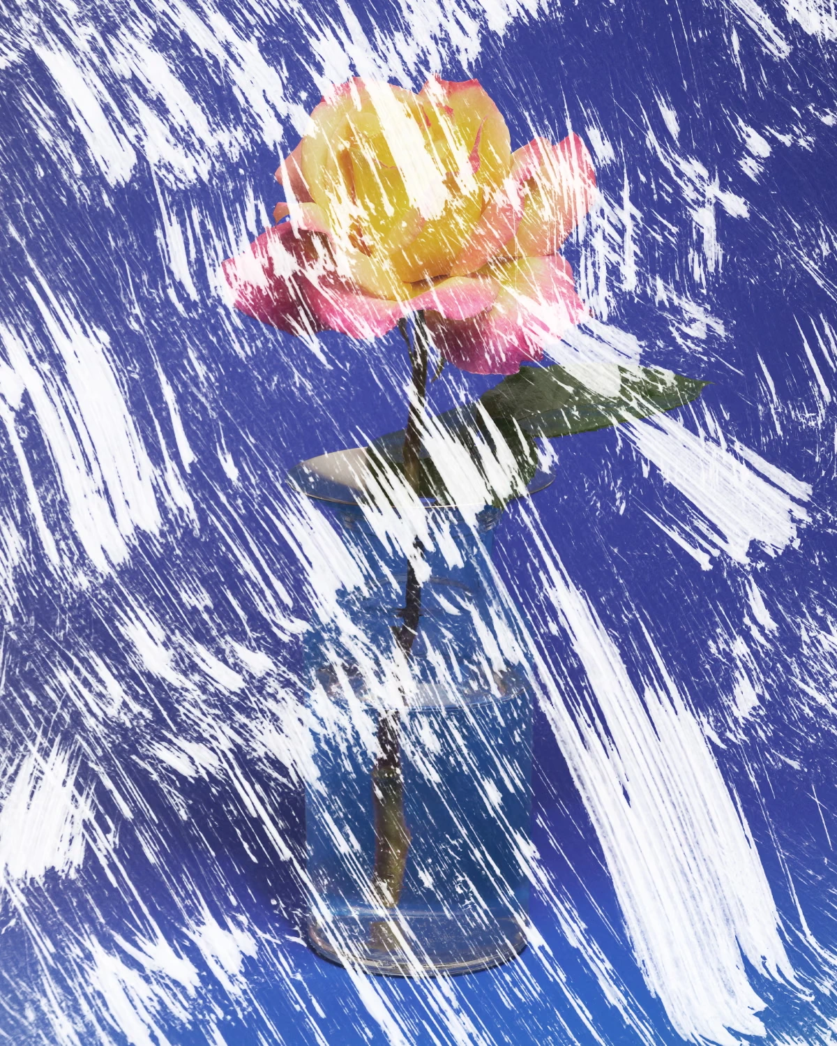 A grief therapist told me I should live to honor my son. How would I do that?