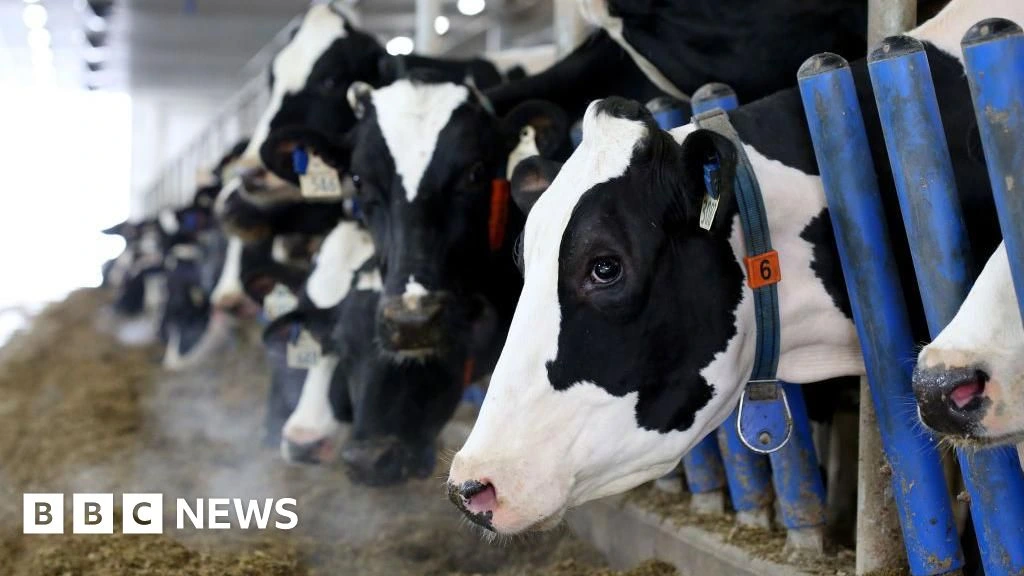 Canada's 'powerful' dairy sector is in Trump's trade crosshairs