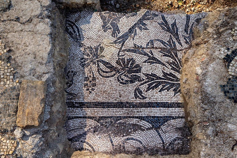 Villa Celimontana, mosaici e delfini nella caserma dei vigili dell'antica Roma