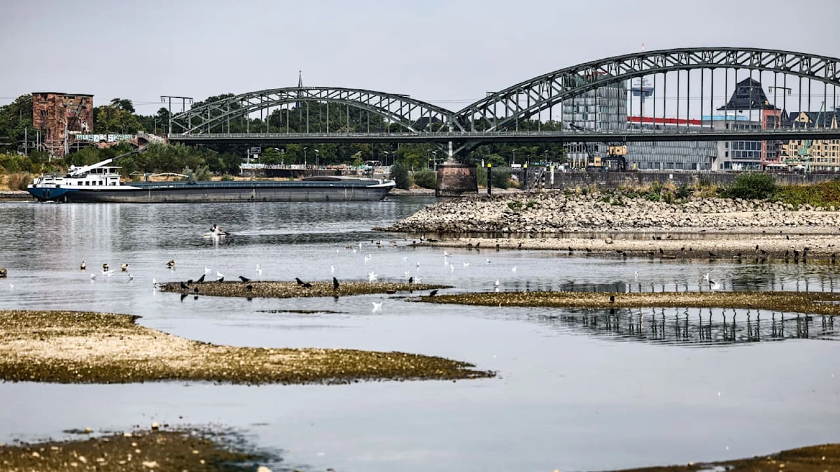 Seit Aufzeichnungen 1813: Historischer Tiefstand des Rheins bei Köln