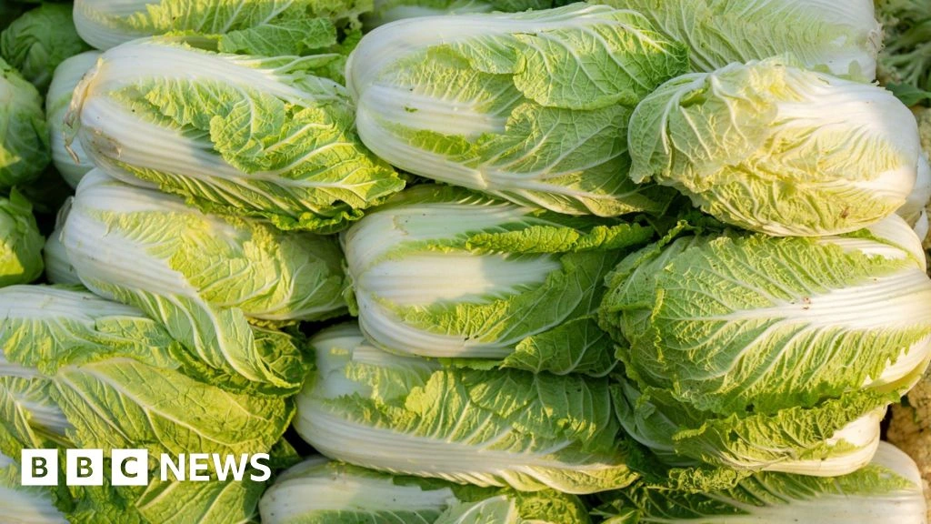 China probes use of formaldehyde to keep cabbages fresh