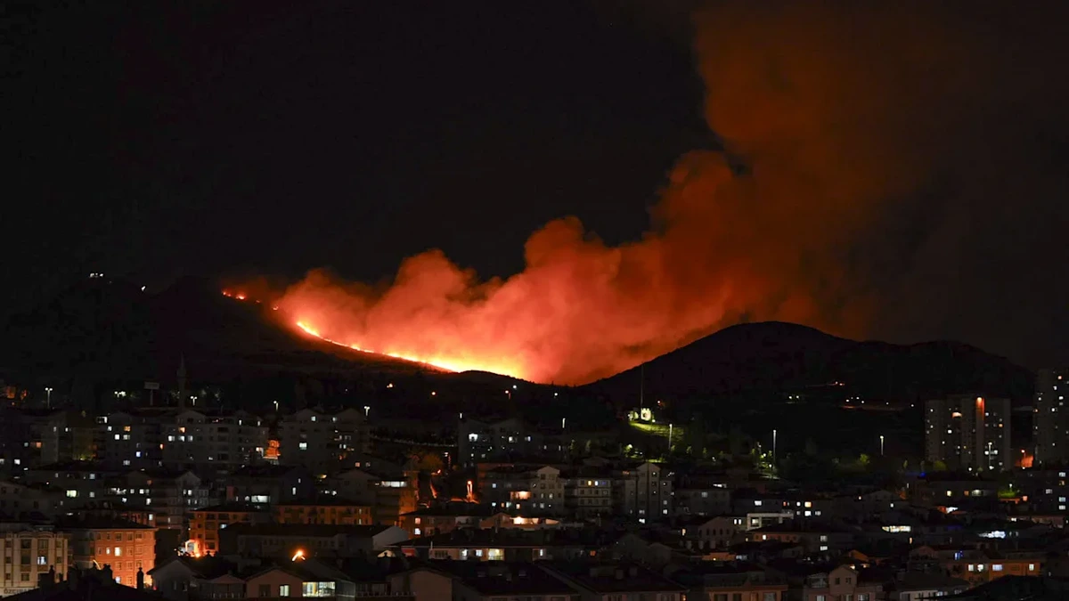 Flammen bedrohen Ankara: Waldbrand bedroht Millionenmetropole