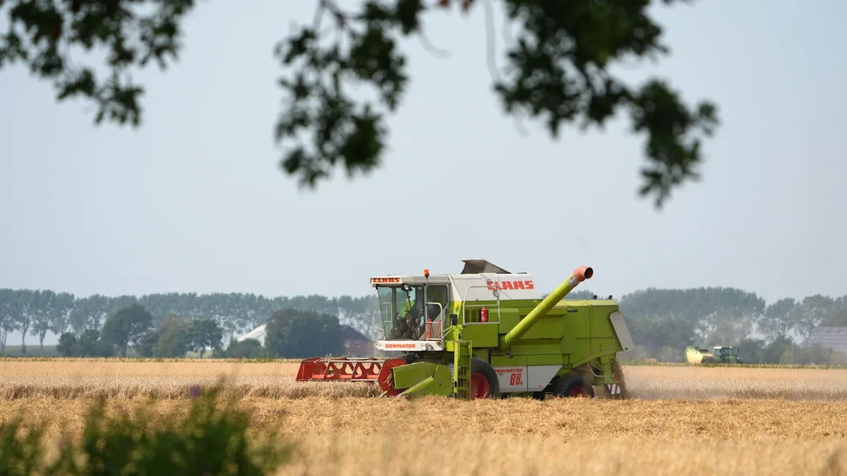 Nach dem Hitze-Sommer: Bauern wollen Sofortprogramm wegen mieser Ernte