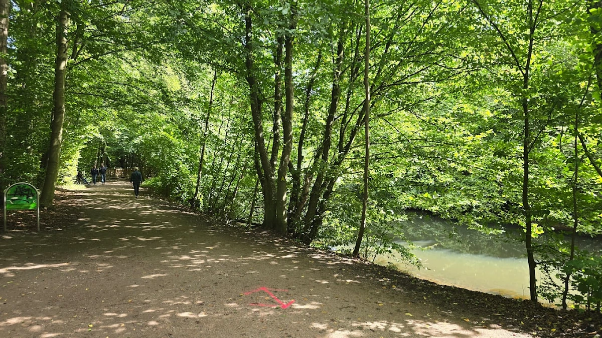 Tote Frau an der Alster in Hamburg gefunden: Polizei nimmt andere Frau fest