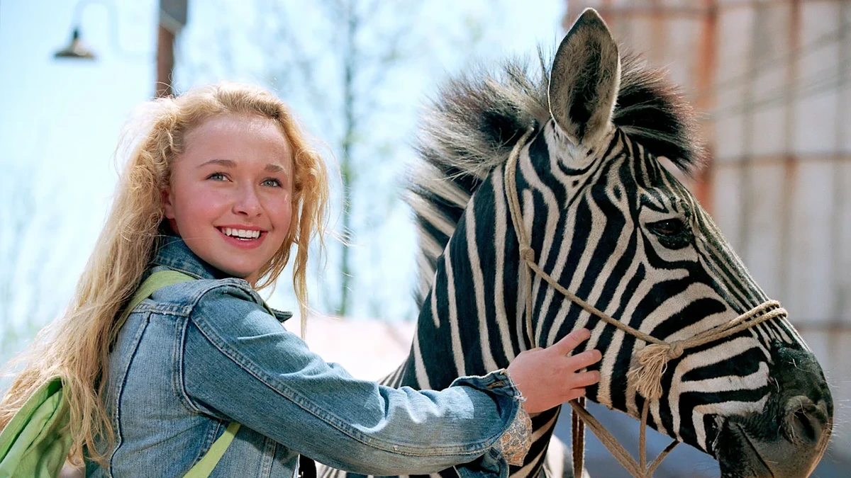 Hayden Panettiere: Trieb ein Zebra-Unfall sie in die Drogensucht?