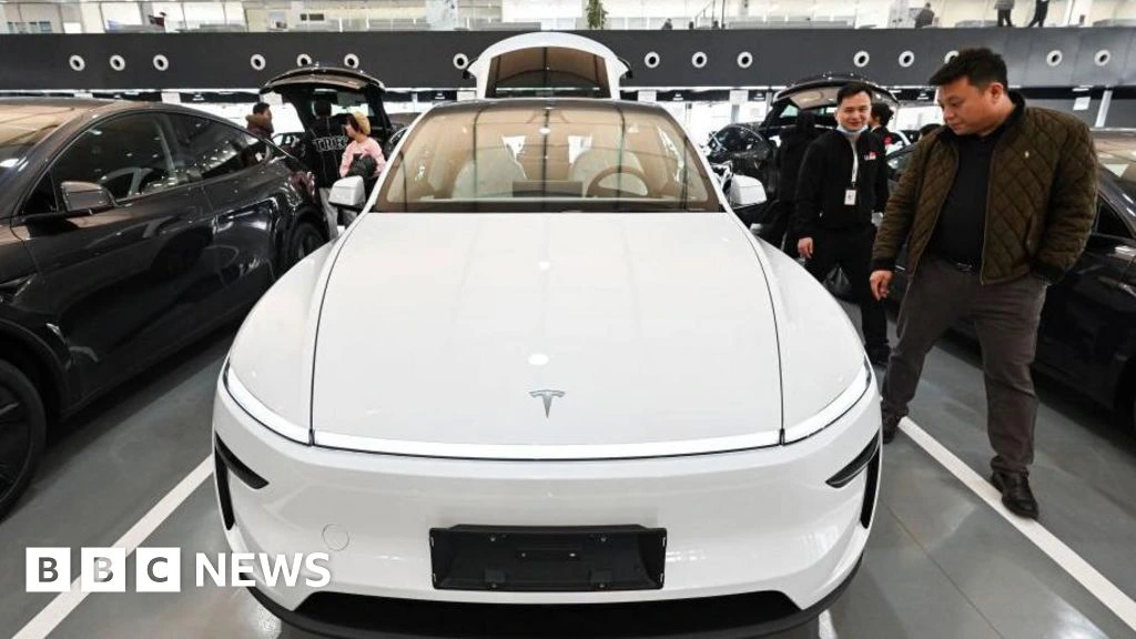 Nearly three million Teslas recalled in China over hidden door handles
