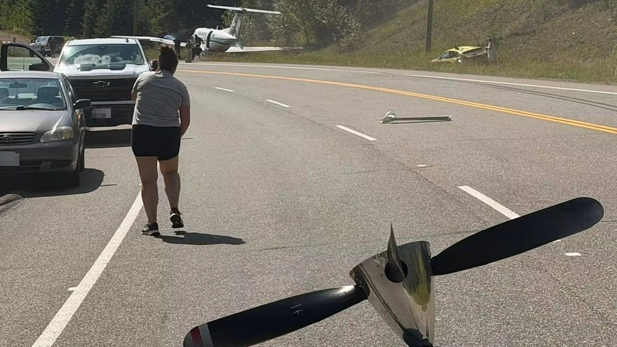 Notlandung auf Straße:  Flugzeug kracht in Familienauto – Mutter stirbt