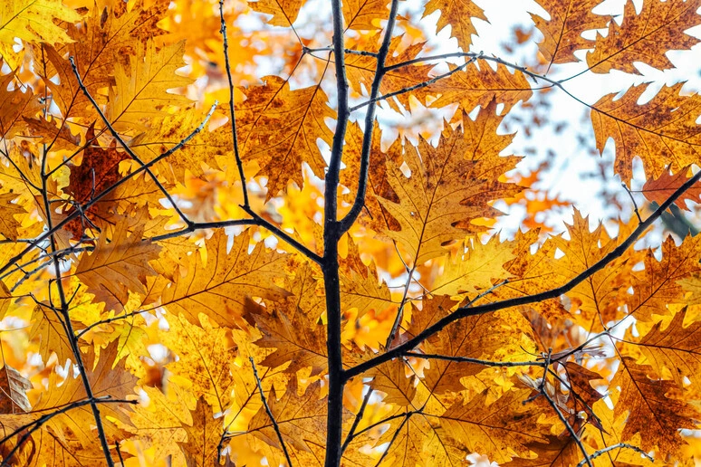 L'estate è al capolinea, arriva l'equinozio d'autunno