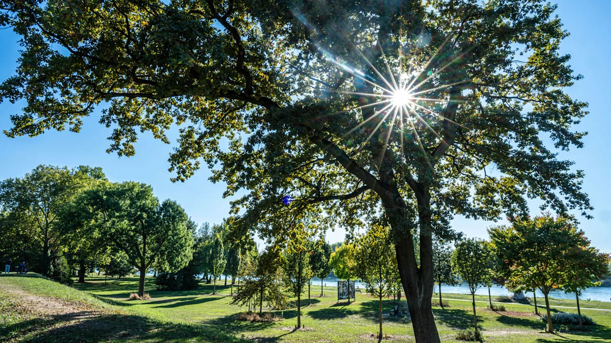 Herbst hält nicht lange durch: Wann die nächste Wetter-Wende kommt