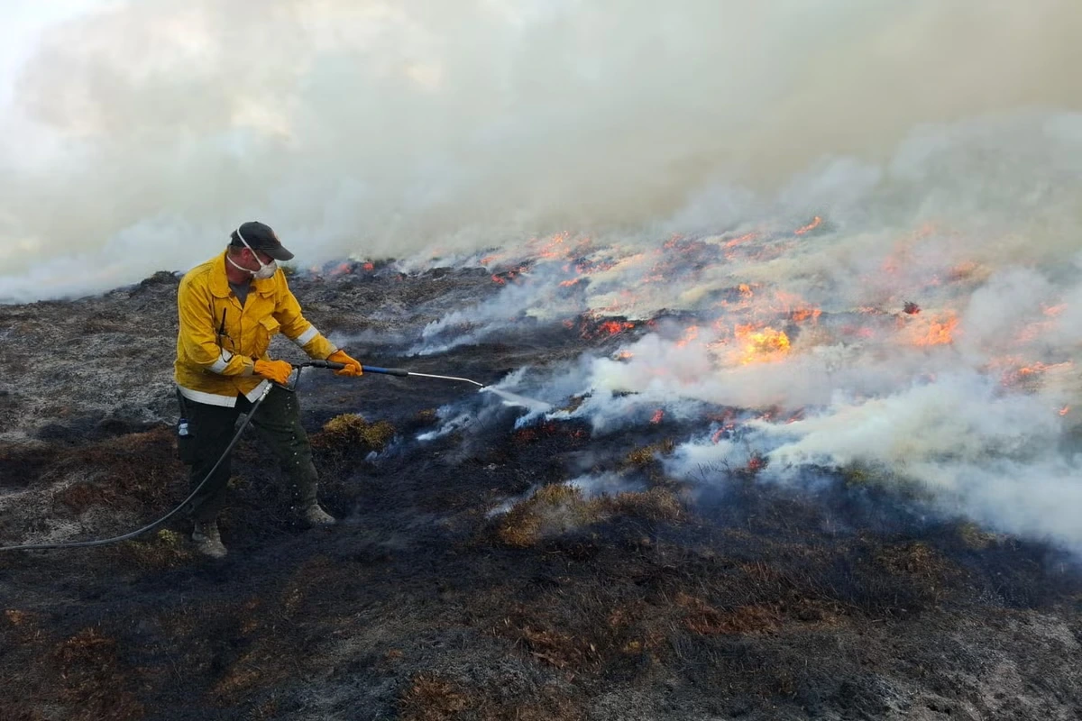 MPs call for firefighting planes and barbecue ban to combat UK wildfire threat